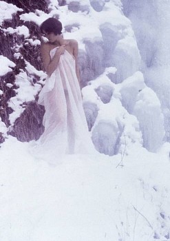 Robert Farber - Robert Farber Snow Bound, Pennslyvania, Edition of 10