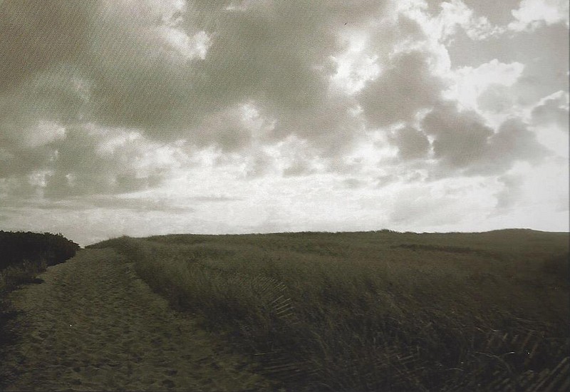 Debranne Cingari (PHOTOGRAPHY), Warm Breeze, Edition of 50, 2012
Pigment Photograph, 30 x 40 in. (76.2 x 101.6 cm)
DC5665