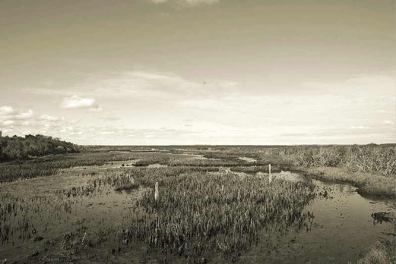 Debranne Cingari (PHOTOGRAPHY), Tides Out, Edition of 50, 2012
Pigment Photograph, 30 x 40 in. (76.2 x 101.6 cm)
DC7684