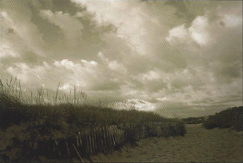 Debranne Cingari (PHOTOGRAPHY), Stroll Before The Storm, Edition of 50, 2013
Pigment Photograph, 30 x 40 in. (76.2 x 101.6 cm)
DC5688