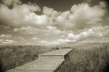 Debranne Cingari -&nbsp;Debranne Cingari Pathway to Heaven II, Edition of 50