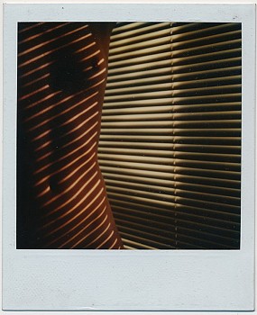 Work: Robert Farber Nude by the Blind, Editions of 9