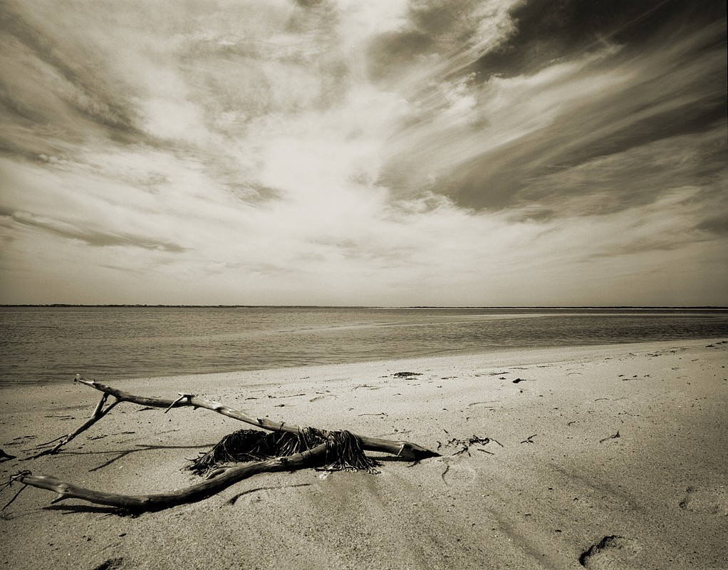 Debranne Cingari (PHOTOGRAPHY), Driftwood At Great Point, Edition of 50, 2013
silver gelatin photograph, 30 x 40 in. (76.2 x 101.6 cm)
DC130762