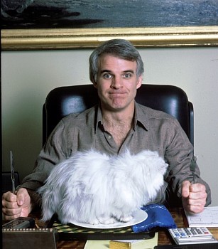 Harry Benson - Harry Benson Steve Martin