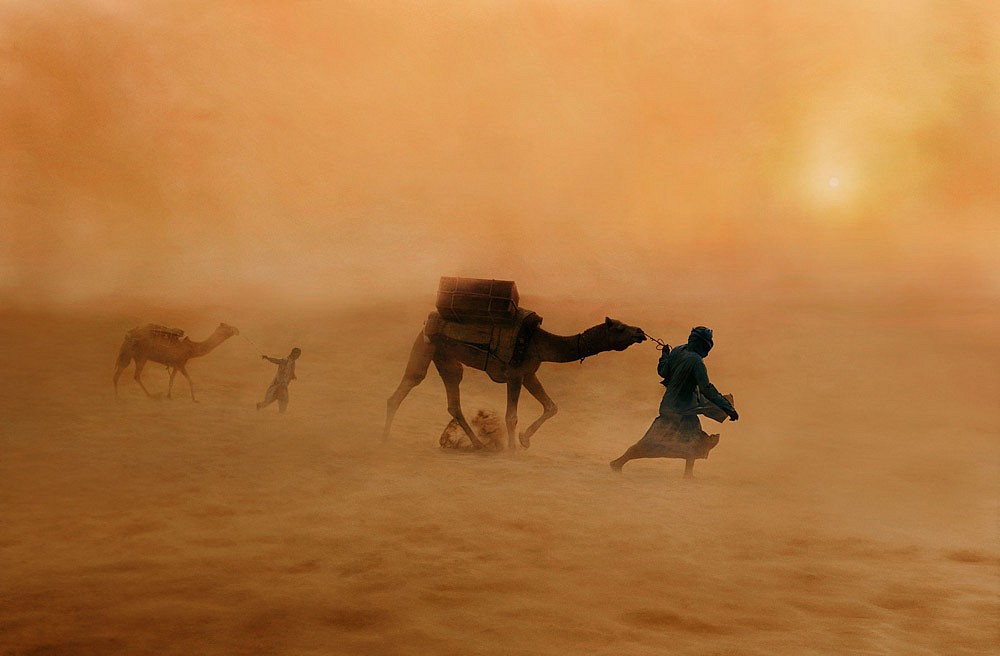 Steve McCurry, Camels in Dust Storm, 2010
FujiFlex Crystal Archive Print, (Inquire for available sizes)
INDIA-11483