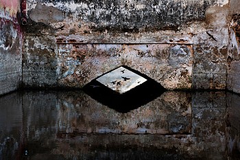 Steve McCurry - Steve McCurry Stepwell and Birds