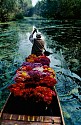 Steve McCurry, Kashmir Flower Seller
1996, FujiFlex Crystal Archive Print