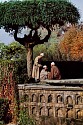 Steve McCurry, Three Friends in Shalimar Gardens
1998, FujiFlex Crystal Archive Print