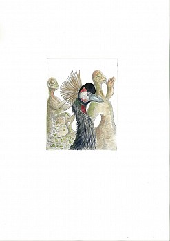 Work: Bjorn Skaarup Black Crowned Crane, Nigeria, Edition of 50