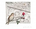 Bjorn Skaarup, Common Nightingale, Iran, Edition of 50
2016, Color engraved etching