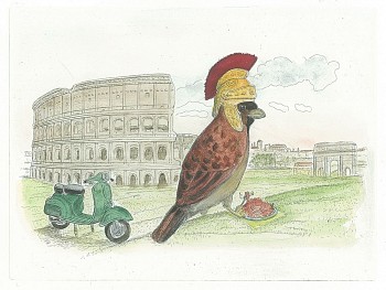 Work: Bjorn Skaarup Italian Sparrow, Italy, Edition of 50