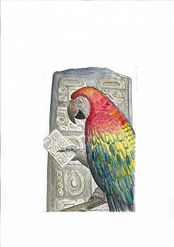 Work: Bjorn Skaarup Scarlet Macaw, Honduras, Edition of 50