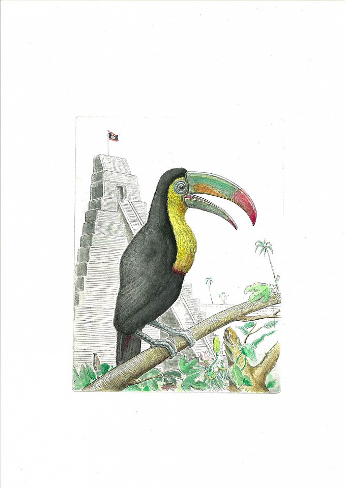 Bjorn Skaarup, Toucan, Belize, Edition of 50, 2016
Color engraved etching, 19 3/4 x 6 1/8 in. (50.2 x 15.6 cm)
BS170214