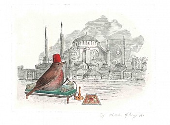 Work: Bjorn Skaarup Redwing, Turkey, Edition of 50