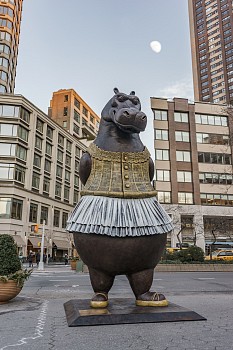 Bjorn Skaarup Hippo Ballerina