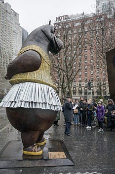 BjornSkaarup HippoBallerina