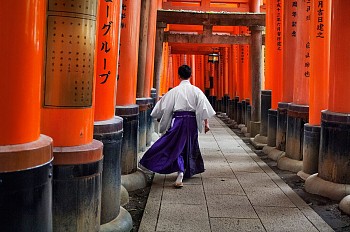 Work: Steve McCurry Man Walks Through Fushimi Inari Shrine, Kyoto, Japan