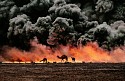 Steve McCurry, Camel and Oil Fields, Al Ahmadi, Kuwait
1991, FujiFlex Crystal Archive Print