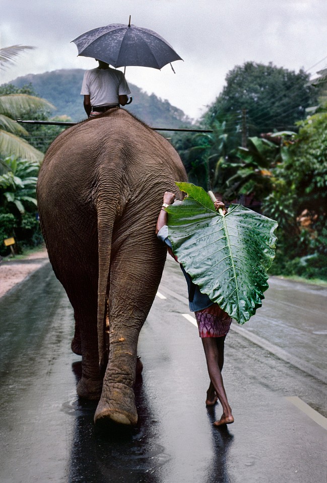 Steve McCurry, Young Man walks behind Elephant, Sri Lanka, 1995
FujiFlex Crystal Archive Print, 40 x 30 in.
SRILANKA-10075NF2