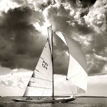 Michael Kahn -&nbsp;Michael Kahn Joyant