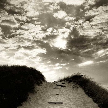 Work: Michael Kahn Pathway to the Beach, Edition of 40