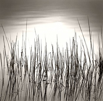 Michael Kahn -&nbsp;Michael Kahn Reeds