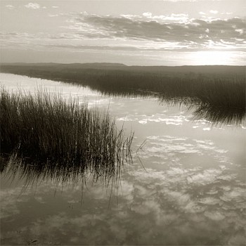 Michael Kahn -&nbsp;Michael Kahn Salt Marsh Reflections