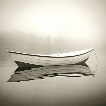 Michael Kahn -&nbsp;Michael Kahn Wild Rose, Edition of 10