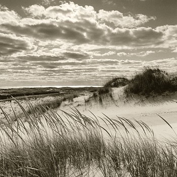 Michael Kahn -&nbsp;Michael Kahn Beyond