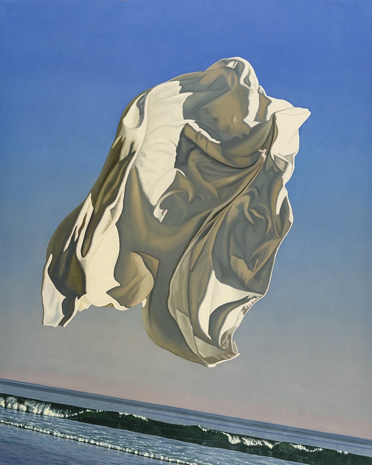 David Ligare, Zakinthos (Thrown Drapery), 2015
oil on canvas, 50 x 40 in. (127 x 101.6 cm)
M10122D.049