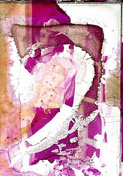 Robert Farber - Robert Farber #147