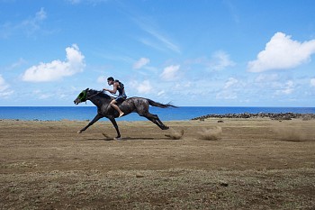 Steve McCurry - Steve McCurry Race Day, Tapati Festival, Easter Island