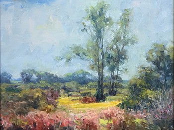 Work: Louis Guarnaccia Madaket Meadows, Nantucket