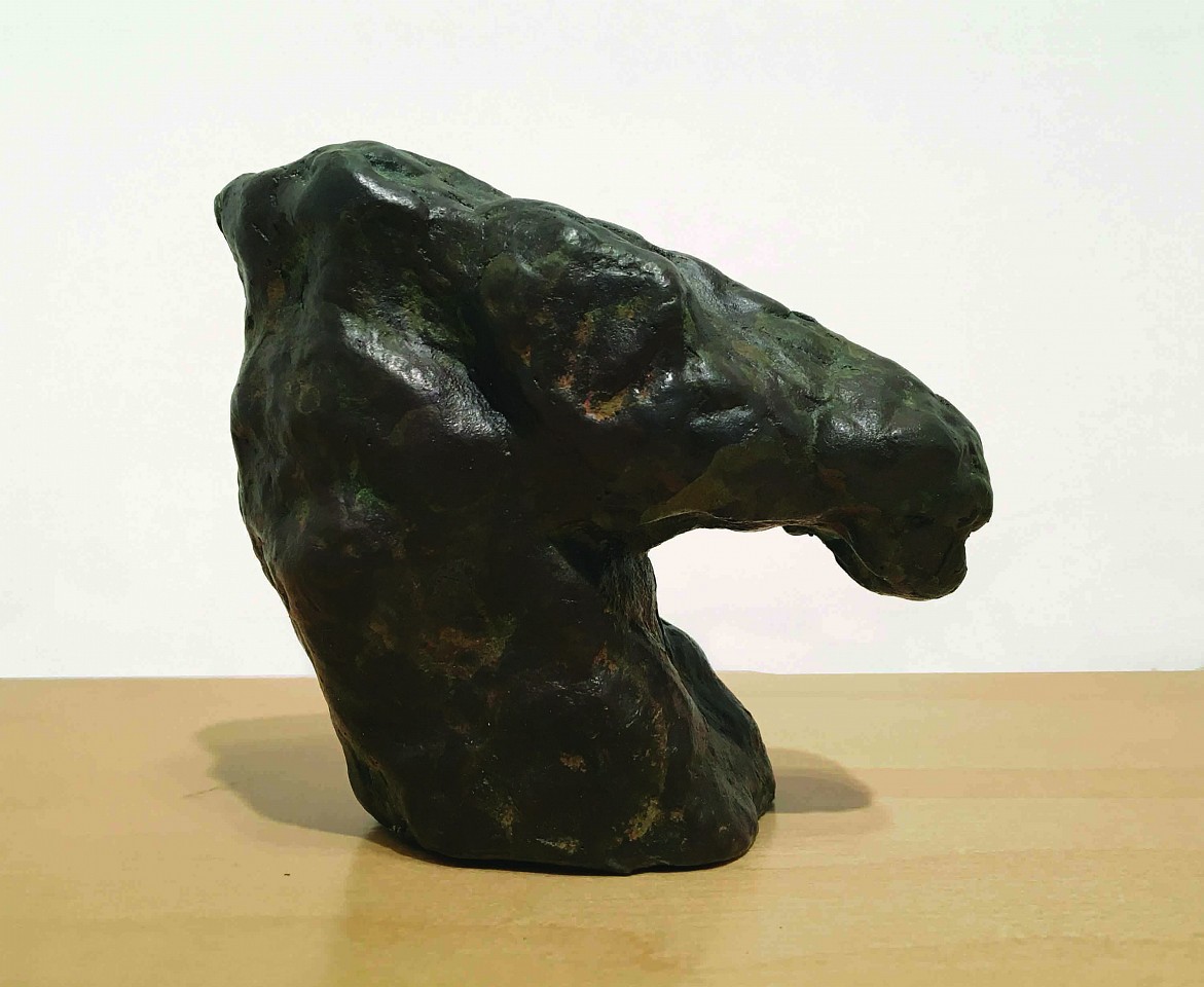 William Tucker, Study for Day, 2012
bronze, 4 x 2 1/2 x 4 1/2 in. (10.2 x 6.3 x 11.4 cm)
TUCK 30