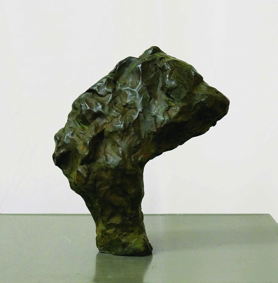 William Tucker, Study for Chinese Horse, 2003
bronze, 10 1/2 x 7 1/2 x 3 in. (26.7 x 19.1 x 7.6 cm)
TUCK 12