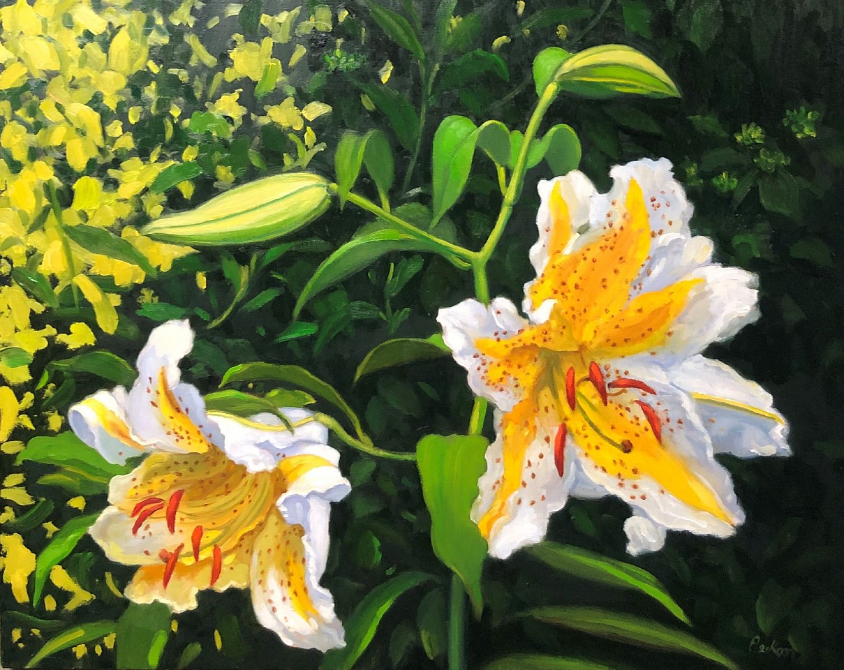 David Peikon, Lilies for John Singer Sargent, 2019
oil on linen, 16 x 20 in. (40.6 x 50.8 cm)
DP200136