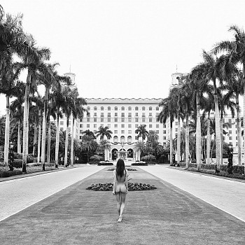 Exhibition: New York State of Mind [Online Exhibition], Nathan Coe