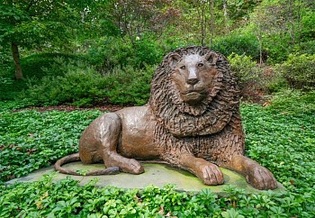 Work: Steven Simmons Sheru