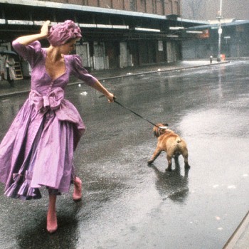 Exhibition: Winter Group Exhibition [Greenwich, CT], Robert Farber