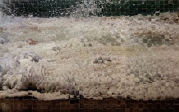 Debranne Cingari -&nbsp;Debranne Cingari Turbulence 3