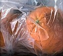 Robert E. Zappalorti, Orange Under Wraps
2020, oil on panel
