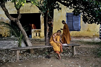 Work: Steve McCurry Monks Read at Siem Reap Monastery