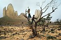 Steve McCurry, Kids Climb Tree
1986, FujiFlex Crystal Archive Print