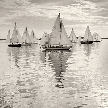 Michael Kahn -&nbsp;Michael Kahn Classic Regatta, Edition of 50