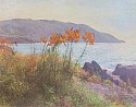 Peter Poskas, Tiger Lilies, Monhegan
2021, oil on canvas