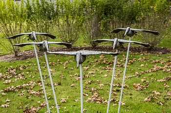 Work: Steven Simmons Pelicans in Flight (5)