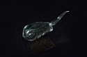 Steven Simmons, Spotted Sting Ray
bronze
