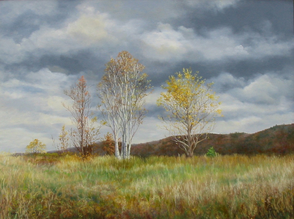 Marla Korr, Trees Along the Ridge, 2005
oil on linen, 30 x 40 in.
MK50405_