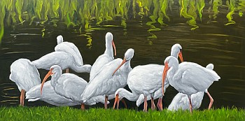 David Peikon - David Peikon Ibis in the Morning