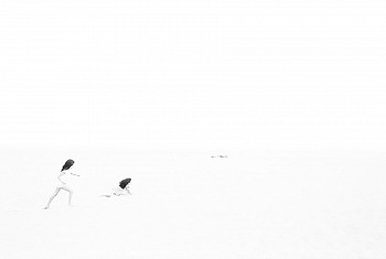 Work: Christophe von Hohenberg Christina's World, Ed. 2/25